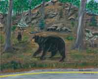Bear Crossing