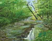 Otter Creek