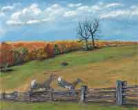 Peaks of Otter Field