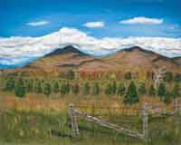 Tree Farm